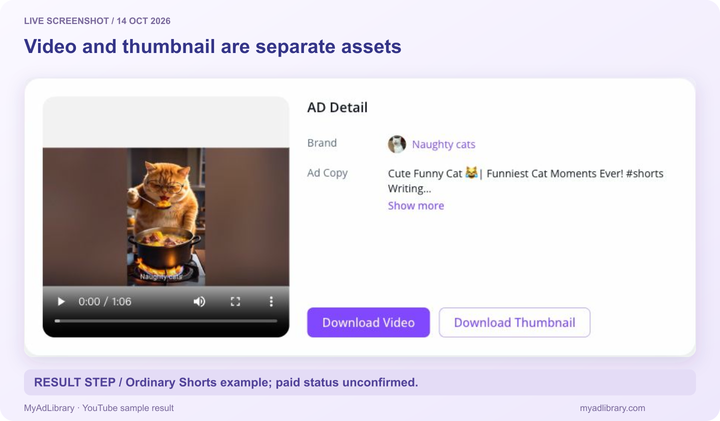 Actual YouTube Shorts result showing Naughty cats, the video preview, Ad Copy, Download Video and Download Thumbnail